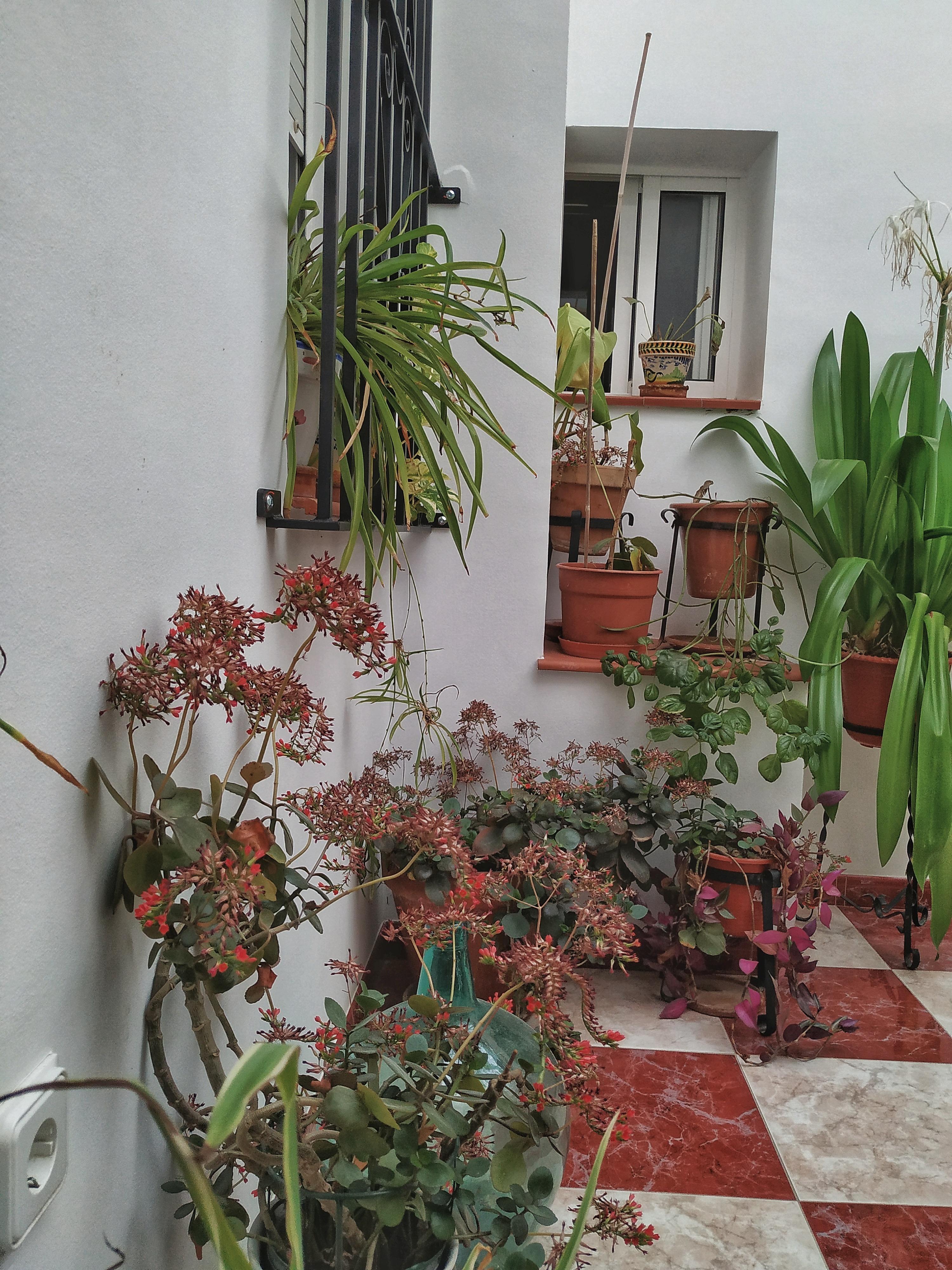 אוסונה Hotel El Molino מראה חיצוני תמונה
